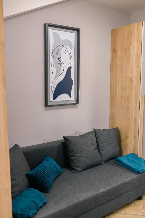 Manoir Apartments City Center Νόβι Σαντ Εξωτερικό φωτογραφία